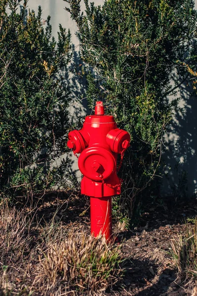 Bomba de água vermelha bombeiro — Fotografia de Stock