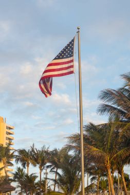 Erken gün ışığına palmiye ağaçları önünde sallayarak bir Amerikan bayrağı dikey fotoğraf
