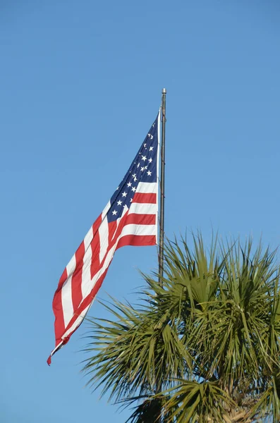 Foto Vertical Uma Bandeira Americana Acenando Acima Uma Palmeira Contra — Fotografia de Stock