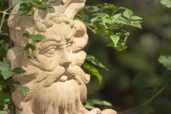 Ivy arasında sakallı erkek yüz oyulmuş