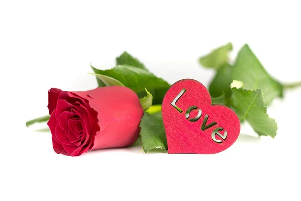 Vermelho Rosa Amor Coração Fundo Branco — Fotografia de Stock
