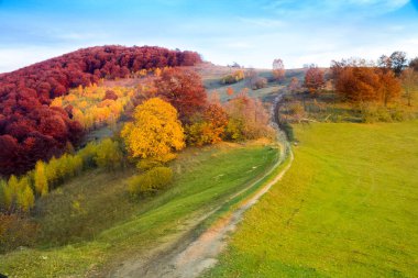 Renkli sonbahar orman manzara, parlak yeşil çayır ve mavi gökyüzü. Ağaçların içinde bordo ve sarı renktedir. Bir dağ yolunda mesafe içine alır