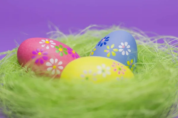 Colorful (blue, red, yellow) Easter eggs in a nest. Eggs have flower patterns and the picture is in front of a purple background.