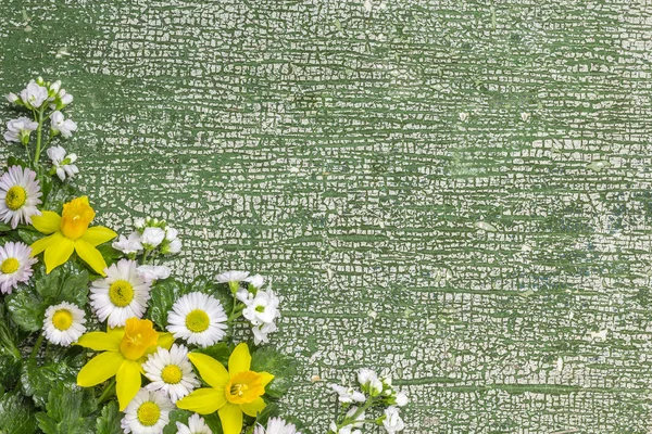 Барвисті квіти з біло-зеленими зношеними дошками фону. Квіти в кутку . — стокове фото