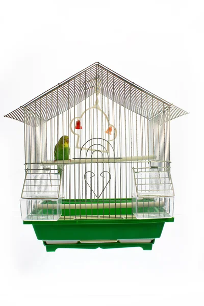 Beautiful happy parrot in a cage — Stock Photo, Image