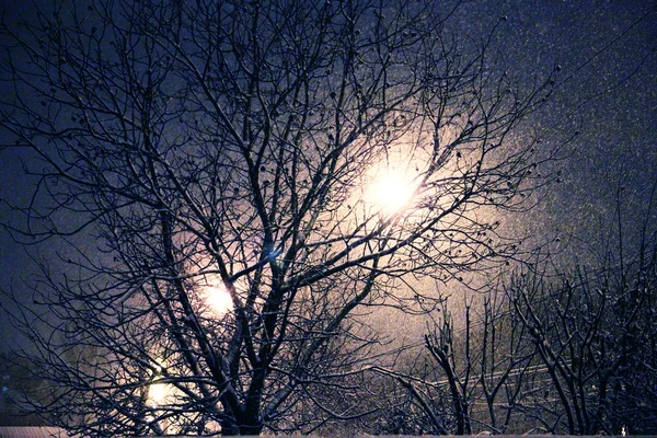 Téli utcai lámpa éjjel — Stock Fotó