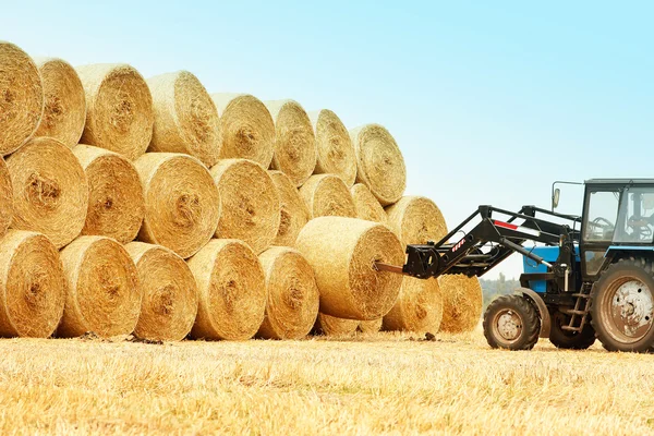 Bales of hay in a field — Stock Photo, Image