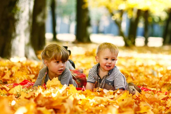 Glada barn som leker i en park — Stockfoto