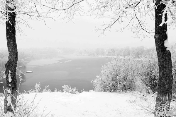 冬公園の自然 — ストック写真