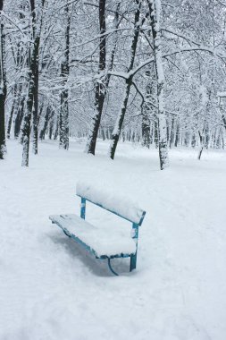 güzel forest park için yapılan kış