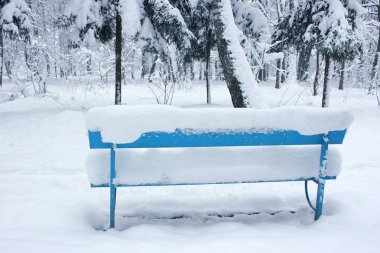 güzel forest park için yapılan kış