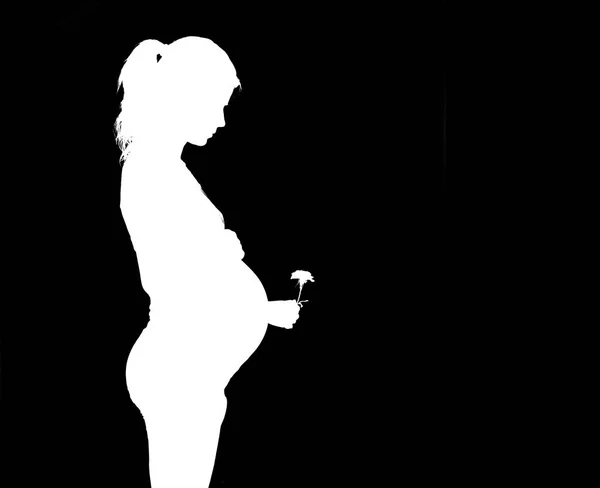 Silhouette of pregnant woman with flower — Stock Photo, Image