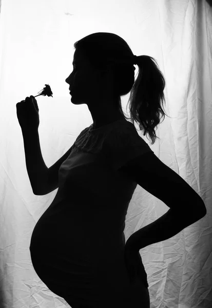 孕妇与花的剪影 — 图库照片