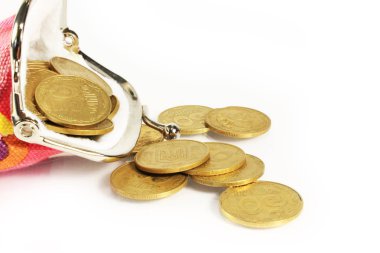 paralar ile şık cüzdan