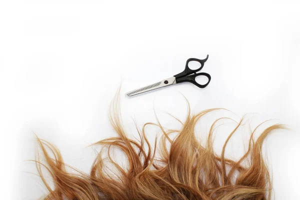 Scissors lying next to hair — Stock Photo, Image