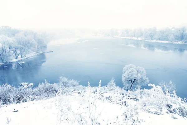 Prachtige natuur in het park — Stockfoto