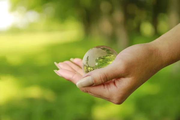 Earthlings mooie hand op natuur in het park — Stockfoto