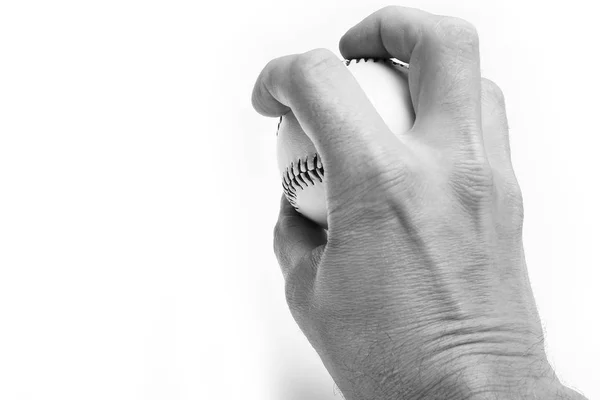 Bonito nas mãos de uma bola de beisebol em um fundo branco myach — Fotografia de Stock