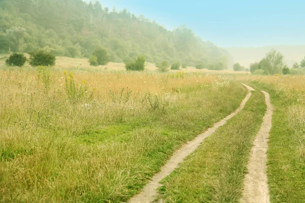 The road to the nature of the field in the countryside — Stock Photo, Image