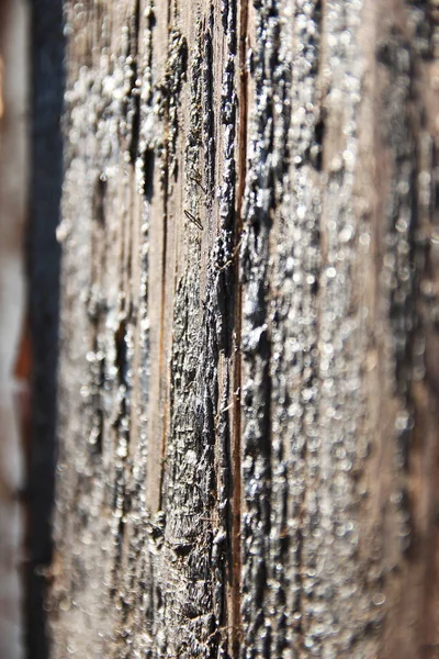 페인트 배경이 있는 나무 벽 — 스톡 사진