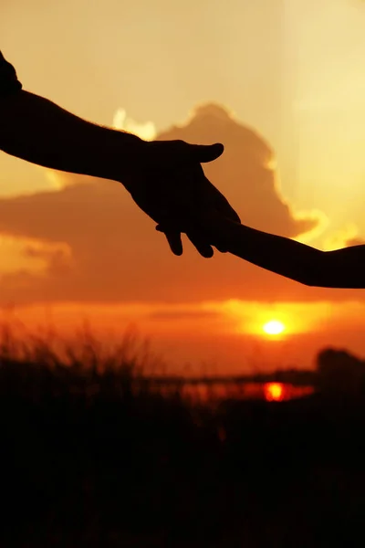 Hands of parent and child silhouette on nature — Stock Photo, Image