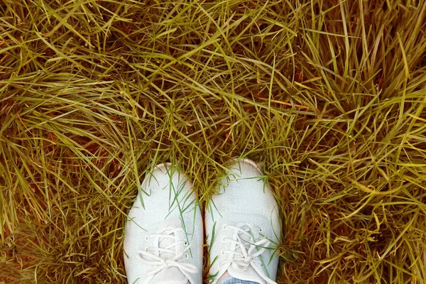 Красивые ноги на траве в парке на природе — стоковое фото