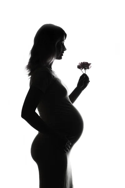 Silhouette de femme enceinte sur fond blanc — Photo