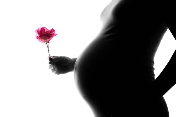Silhueta de mulher grávida em um fundo branco — Fotografia de Stock