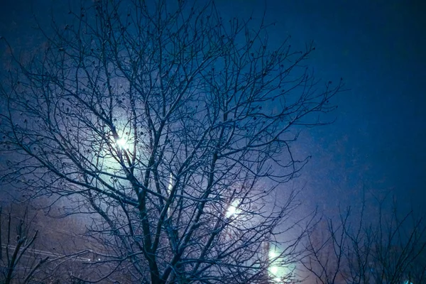 Lâmpada de rua de inverno à noite — Fotografia de Stock