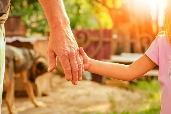 Föräldern som håller barnets hand med en lycklig bakgrund — Stockfoto