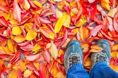 bir arka plan üzerinde sonbaharda yaprakların arka planda ayaklar