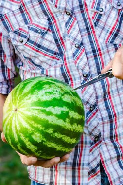 parkta doğa üzerinde bir adamın elinde karpuz