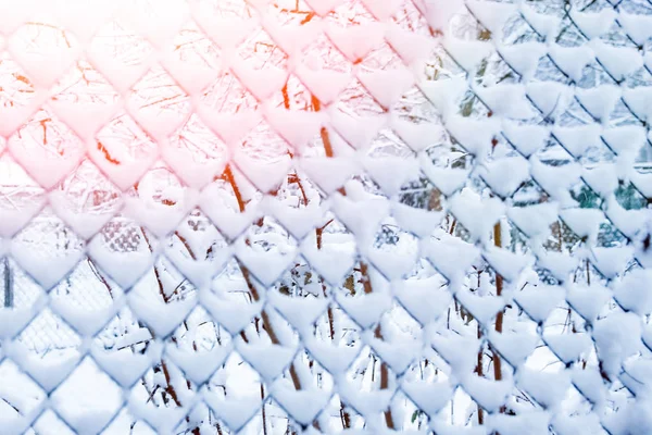 Mesh in winter on nature in park background — Stock Photo, Image