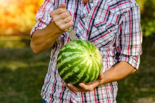 Watermelon in the hands of a guy on nature in the park — Stock Photo, Image