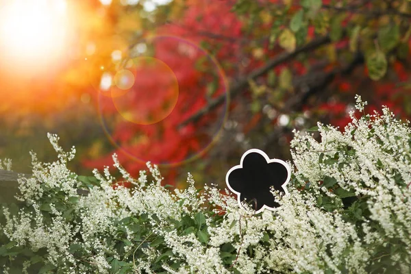 Ein schöner Hintergrund im Park Herbst Hintergrund — Stockfoto
