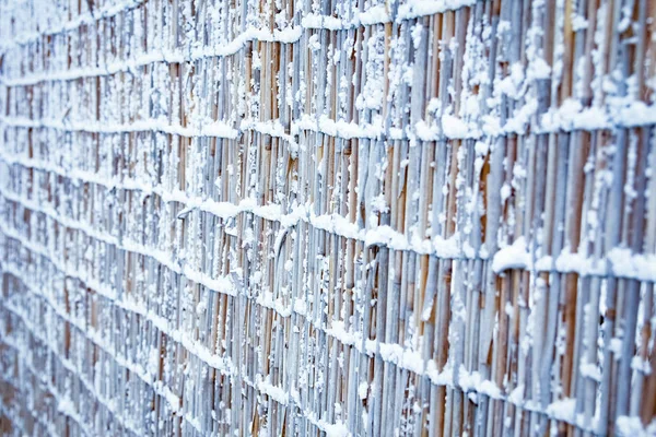 bold fence in winter on nature in the park background