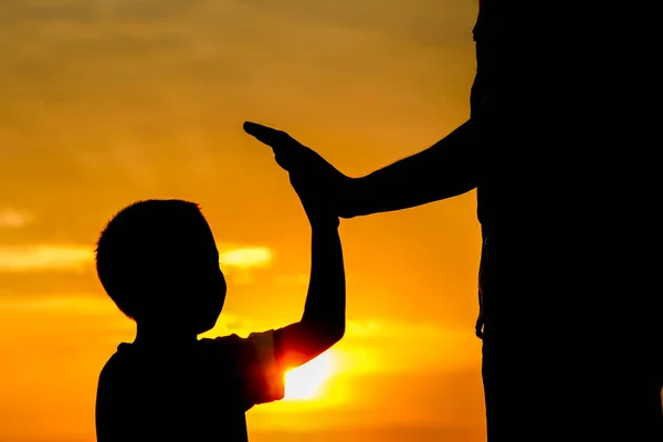 Padre feliz con un niño en el parque silueta al aire libre — Foto de Stock