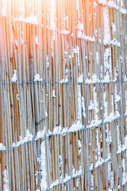 park arka planda doğada kışın cesur çit