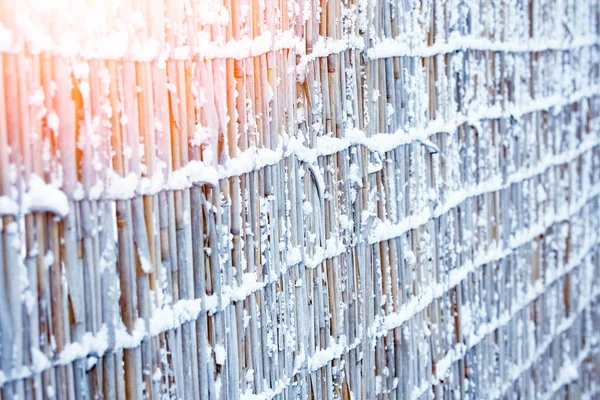 공원 배경에 자연에 겨울에 대담한 울타리 — 스톡 사진