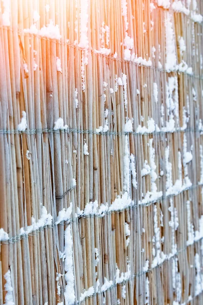 bold fence in winter on nature in the park background