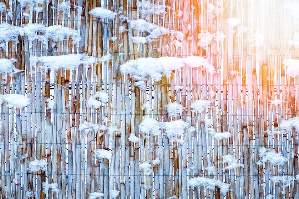 공원 배경에 자연에 겨울에 대담한 울타리 — 스톡 사진