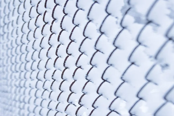 Mesh på vintern på naturen i parken bakgrund — Stockfoto