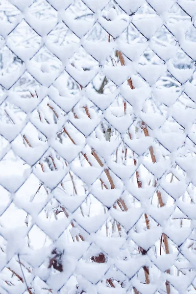 公園の背景の自然に冬のメッシュ — ストック写真