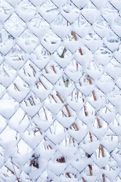 Malla en invierno en la naturaleza en el fondo del parque — Foto de Stock