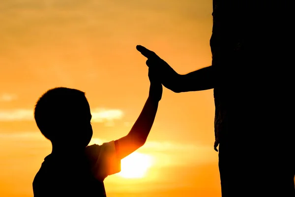 Padre feliz con un niño en el parque silueta al aire libre — Foto de Stock