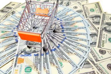 Beyaz arka planda metal sepette bir dolar para.