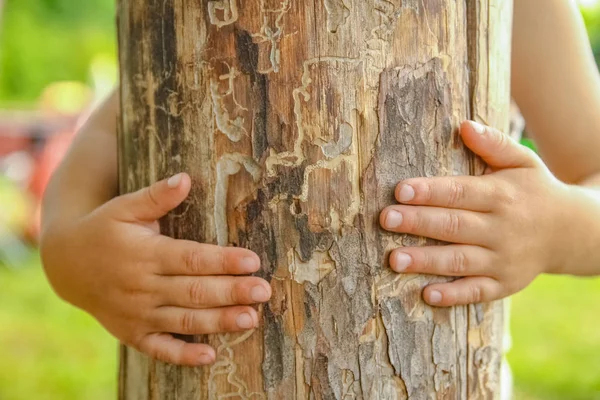 Tangan seorang anak yang bahagia di alam — Stok Foto