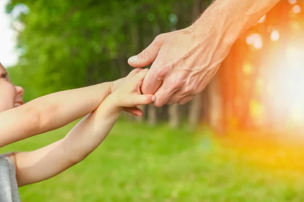 Hands of a happy parent and child in nature — Stock Photo, Image