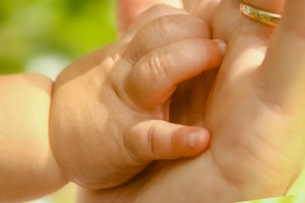 Hands of a happy parent and child in nature — Stock Photo, Image