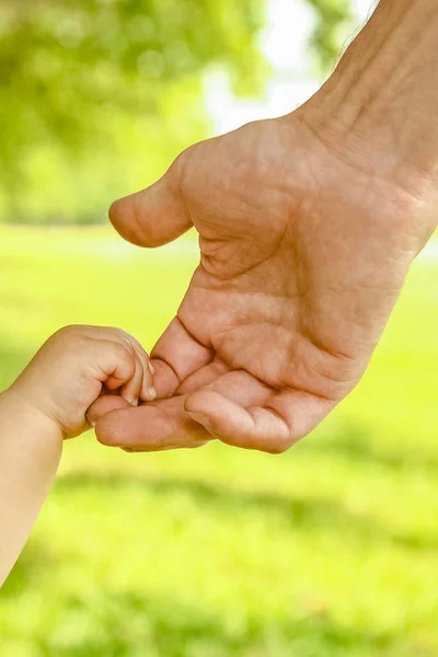 Handen van een gelukkige ouder en kind in de natuur — Stockfoto